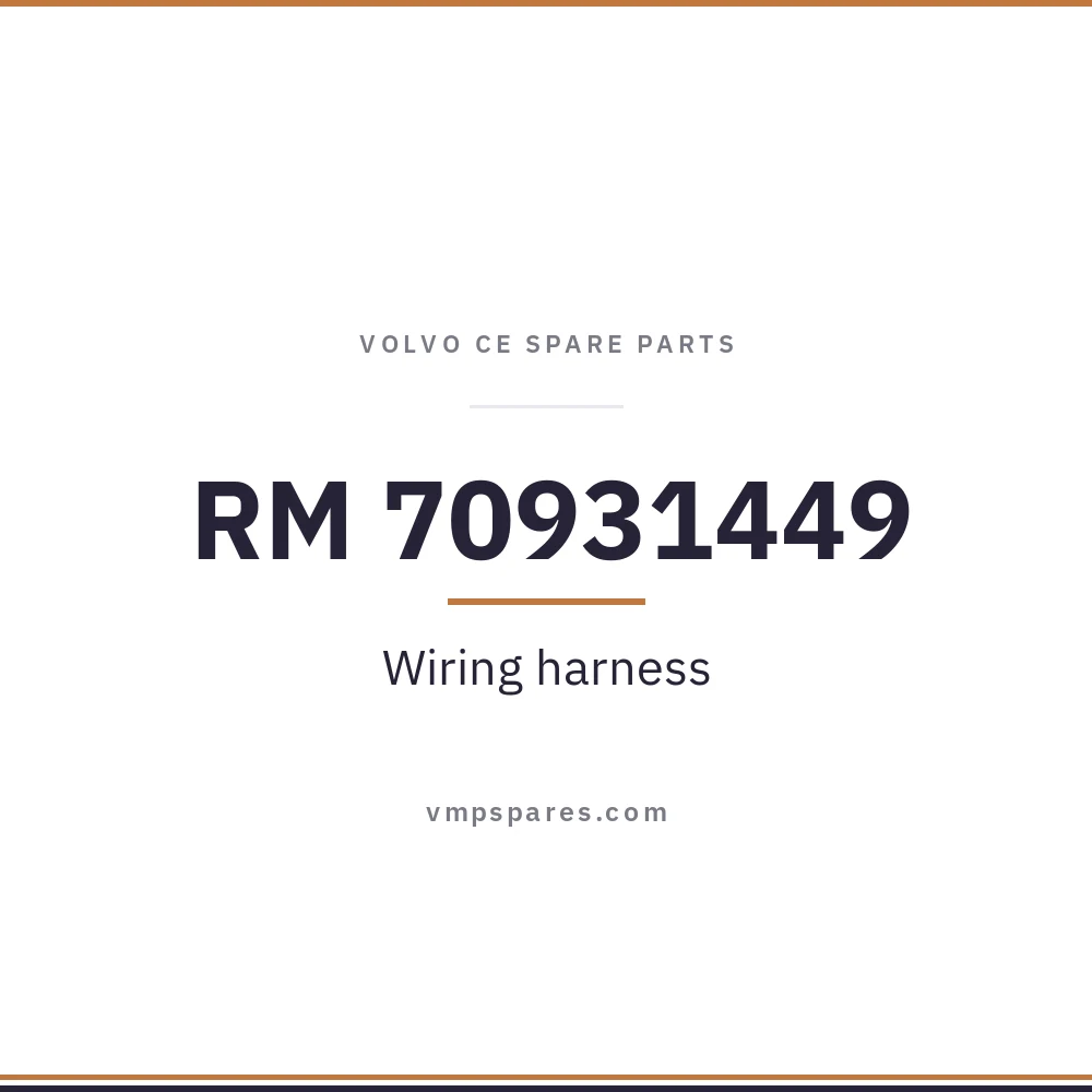 RM 70931449 – Wiring harness