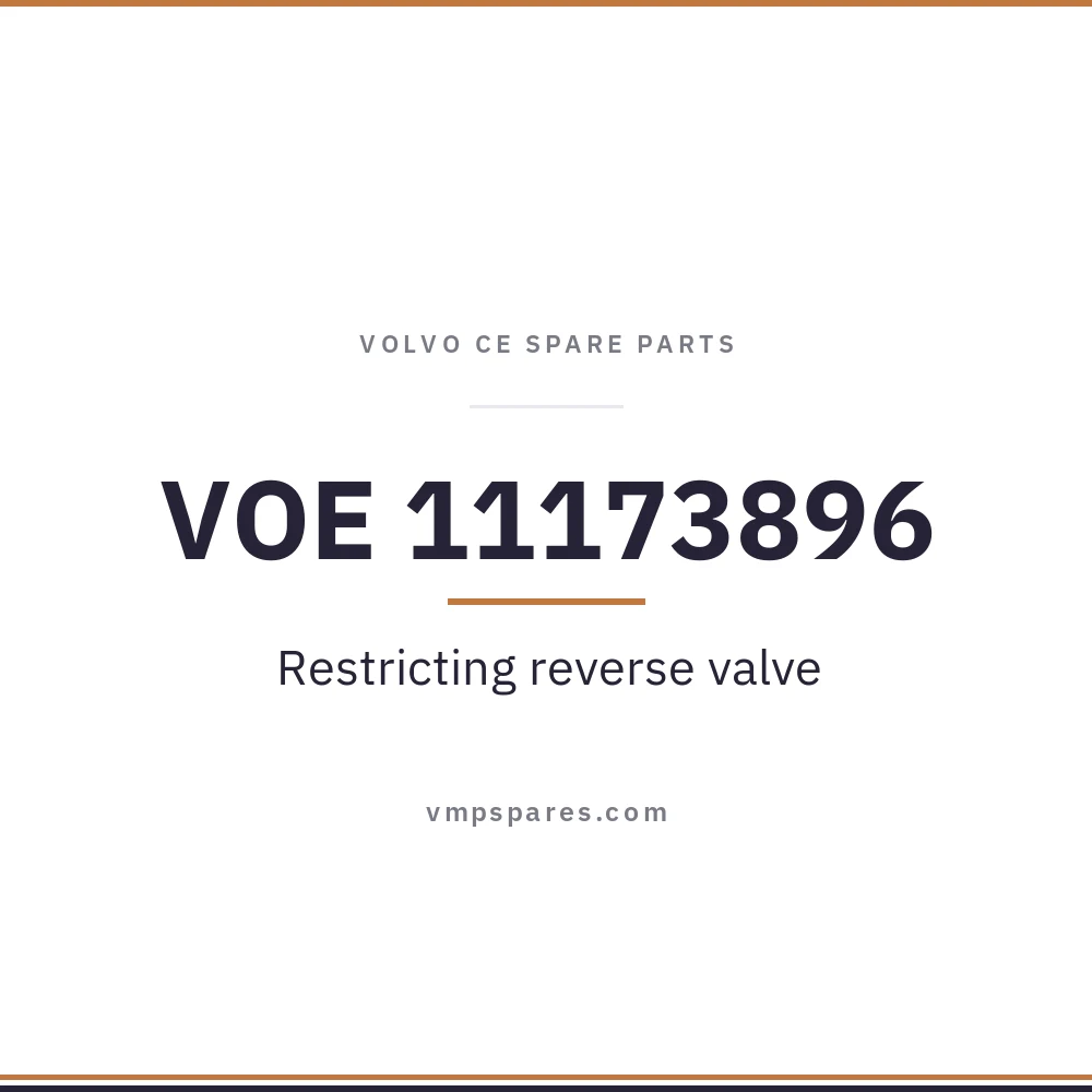 VOE 11173896 – Restricting reverse valve