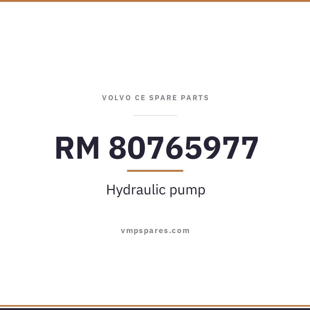 RM 80765977 – Hydraulic pump