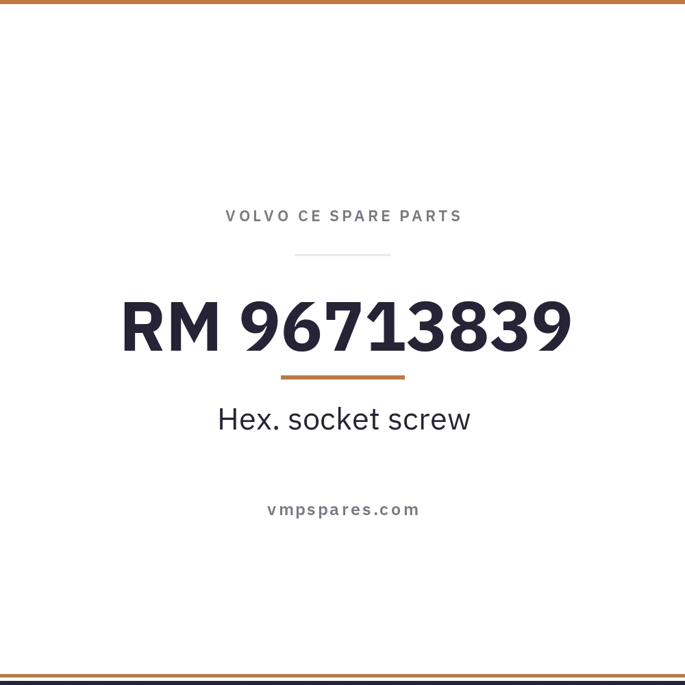 RM 96713839 – Hex. socket screw