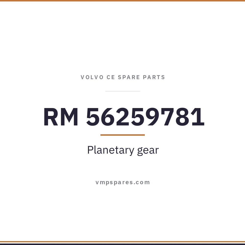 RM 56259781 – Planetary gear