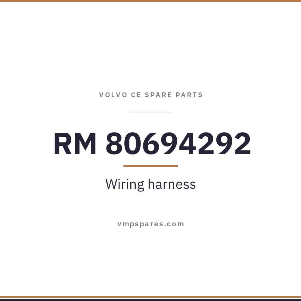 RM 80694292 – Wiring harness