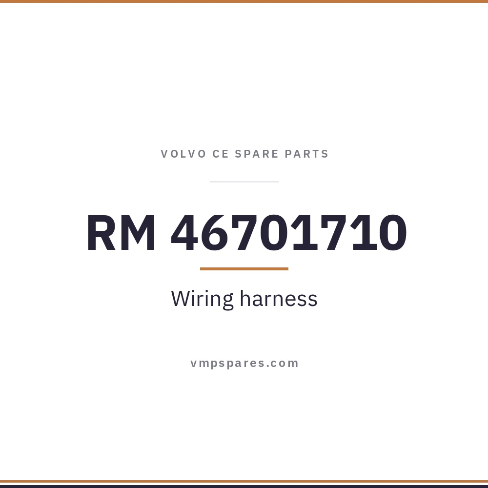 RM 46701710 – Wiring harness
