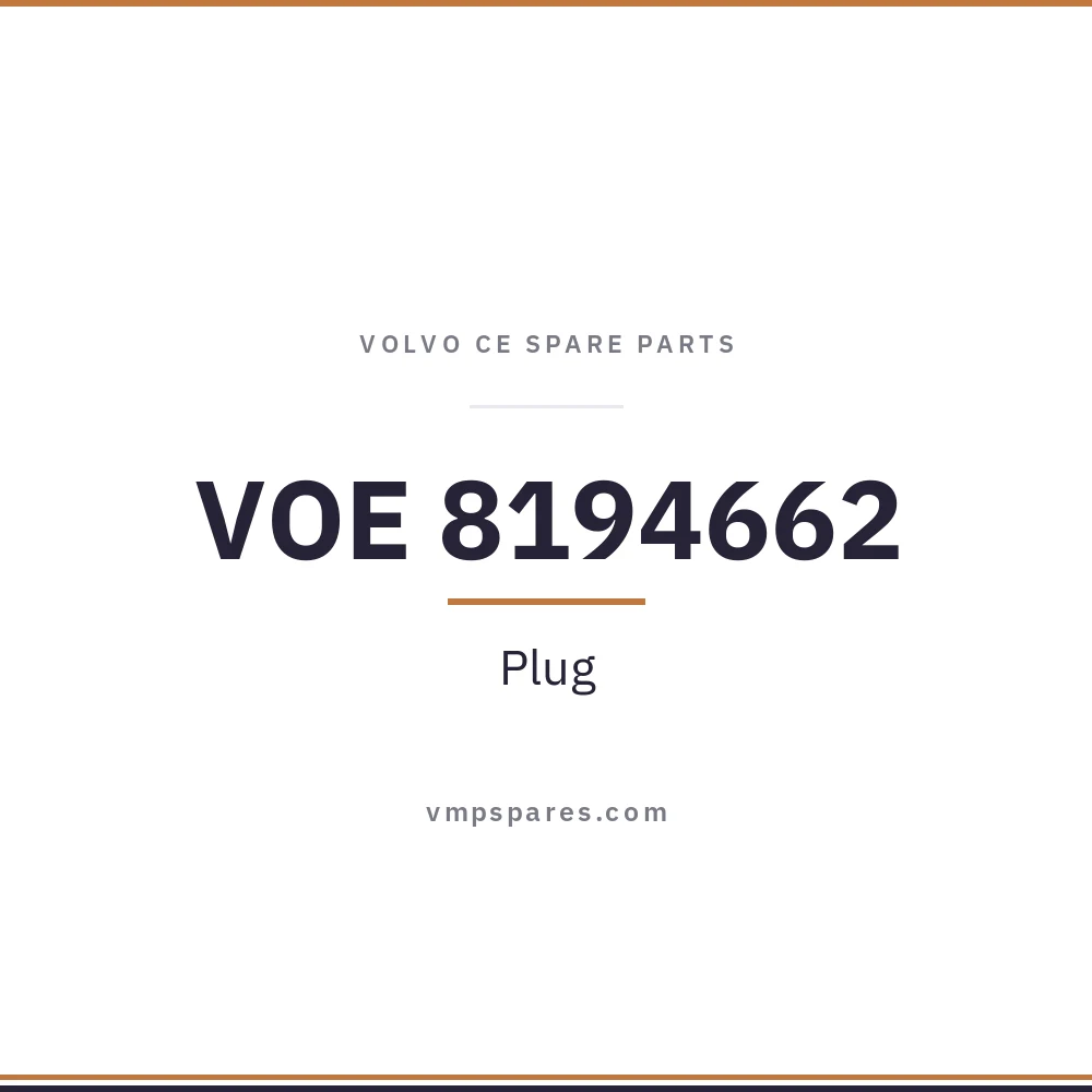 VOE 8194662 – Plug