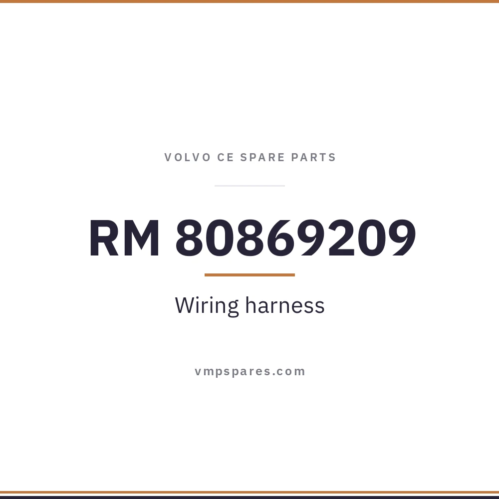 RM 80869209 – Wiring harness