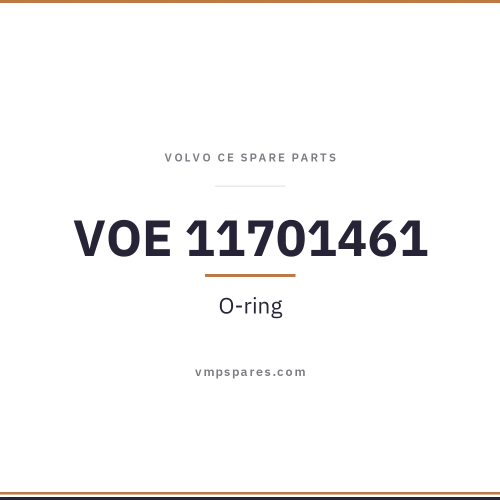 VOE 11701461 – O-ring