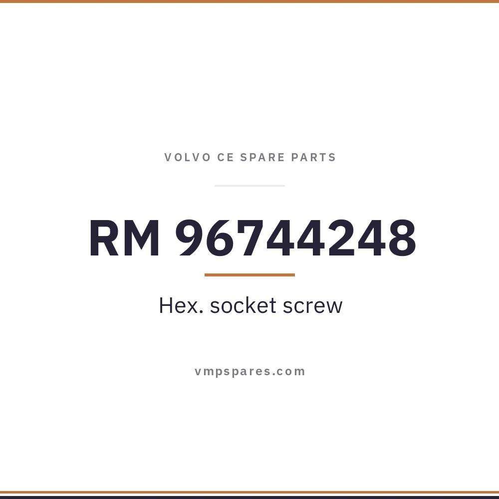 RM 96744248 – Hex. socket screw