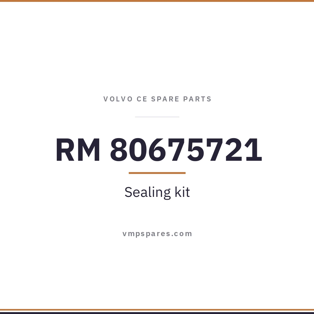 RM 80675721 – Sealing kit