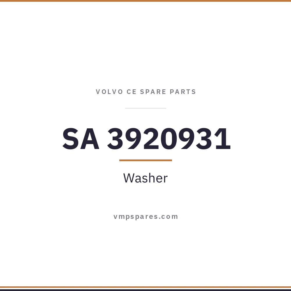 SA 3920931 – Washer