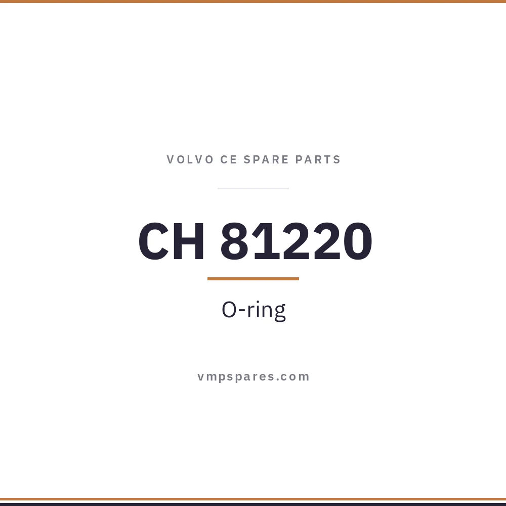 CH 81220 – O-ring