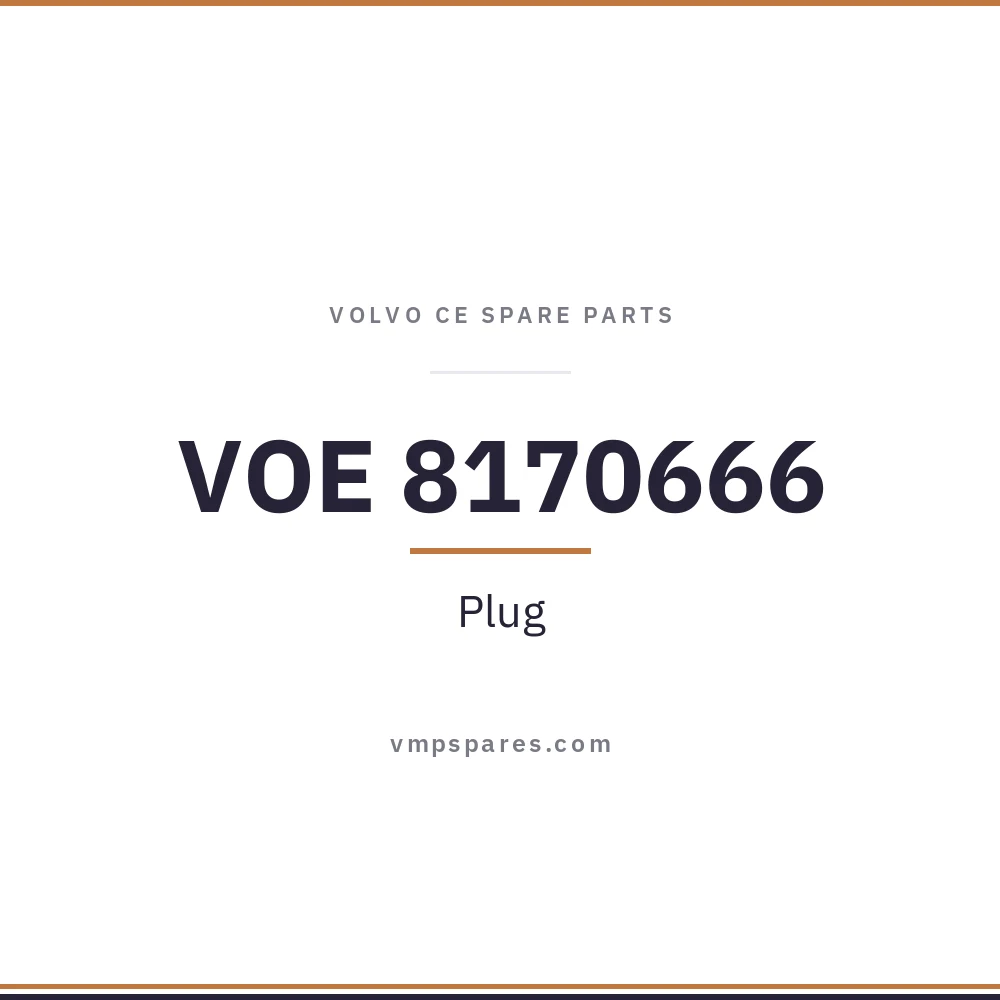 VOE 8170666 – Plug