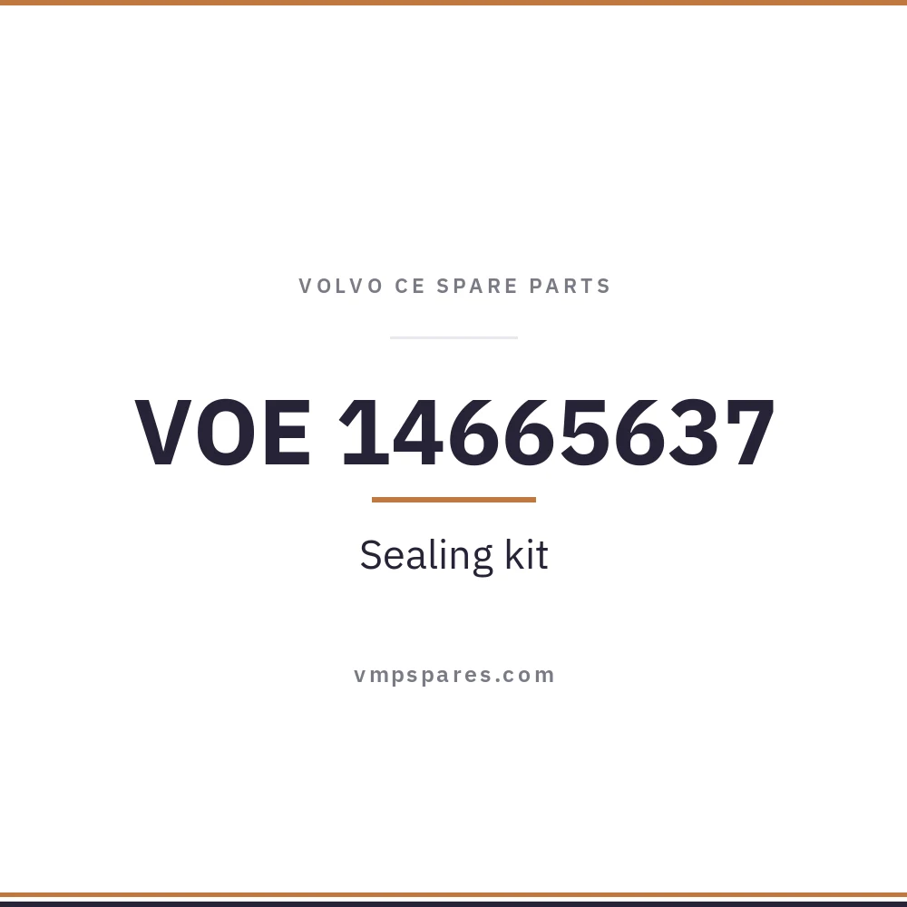 VOE 14665637 – Sealing kit