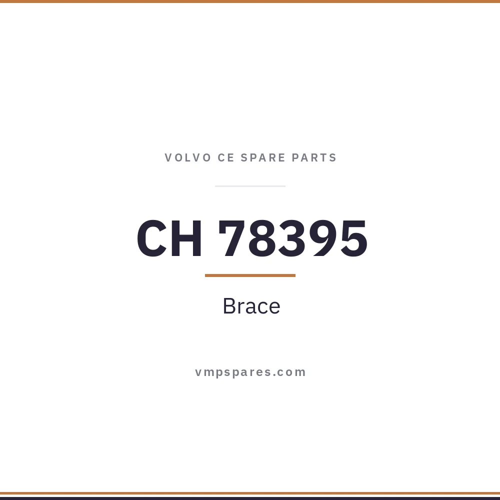 CH 78395 – Brace