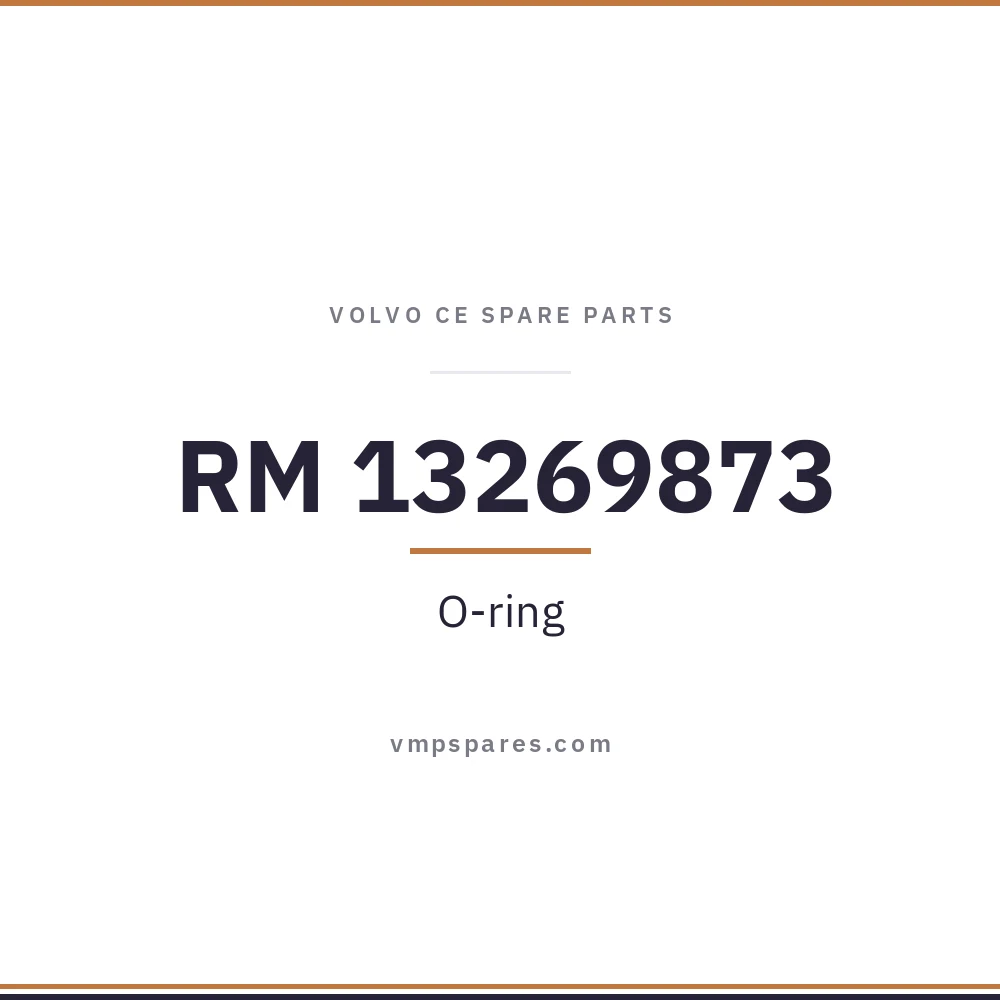 RM 13269873 – O-ring