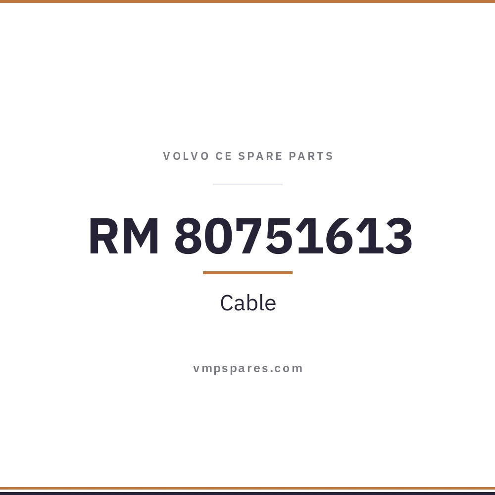 RM 80751613 – Cable