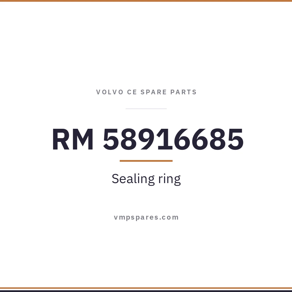 RM 58916685 – Sealing ring