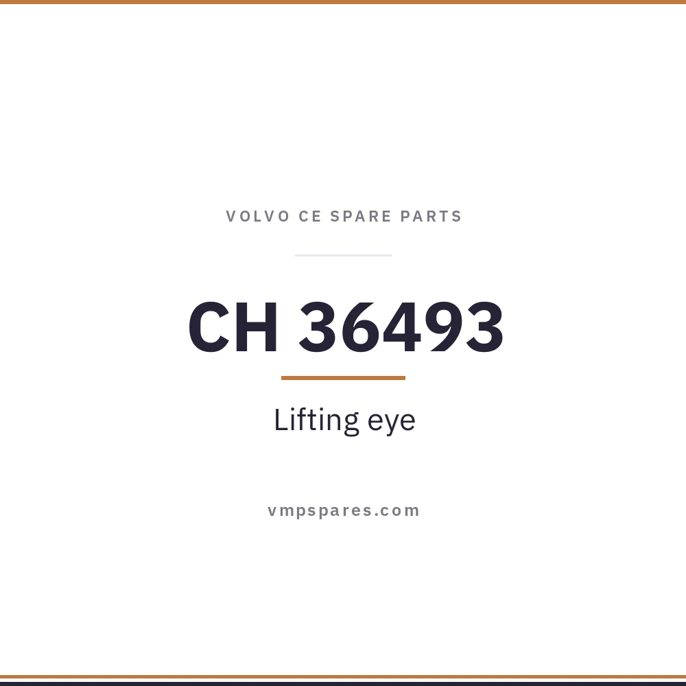 CH 36493 – Lifting eye