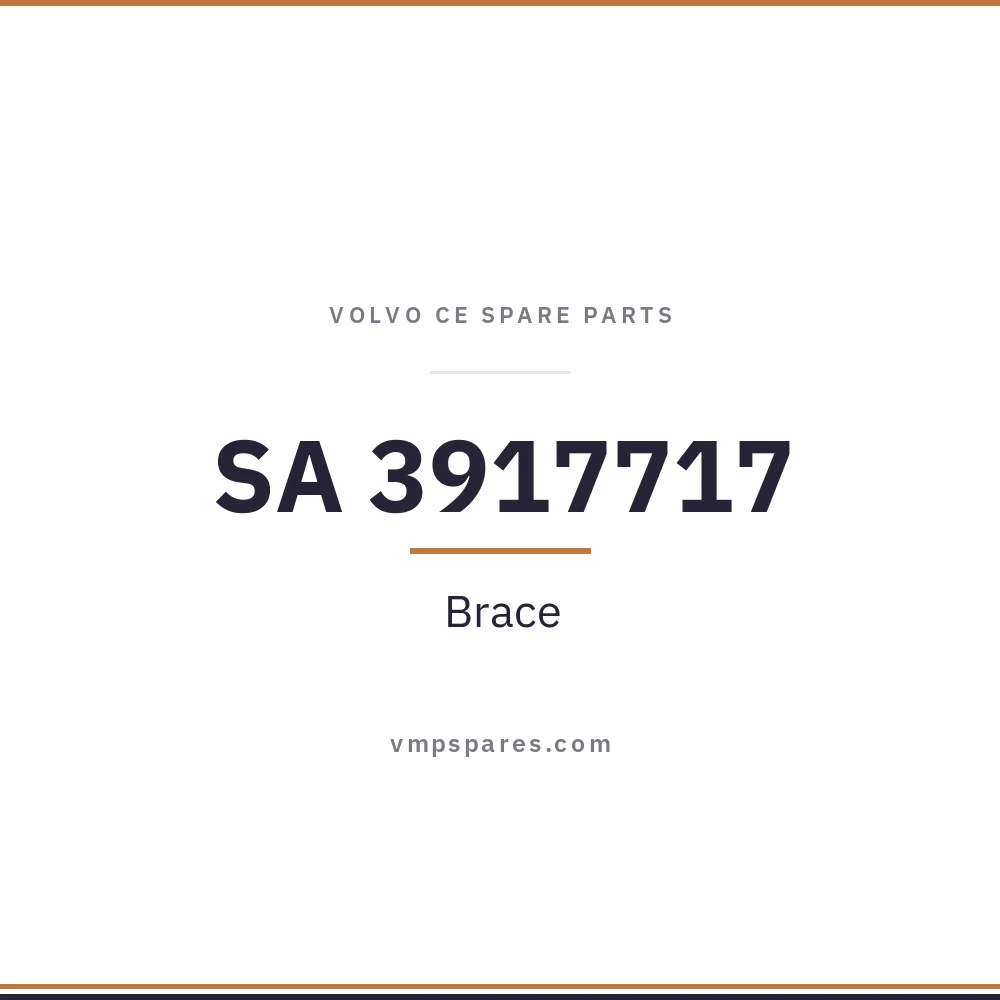 SA 3917717 – Brace