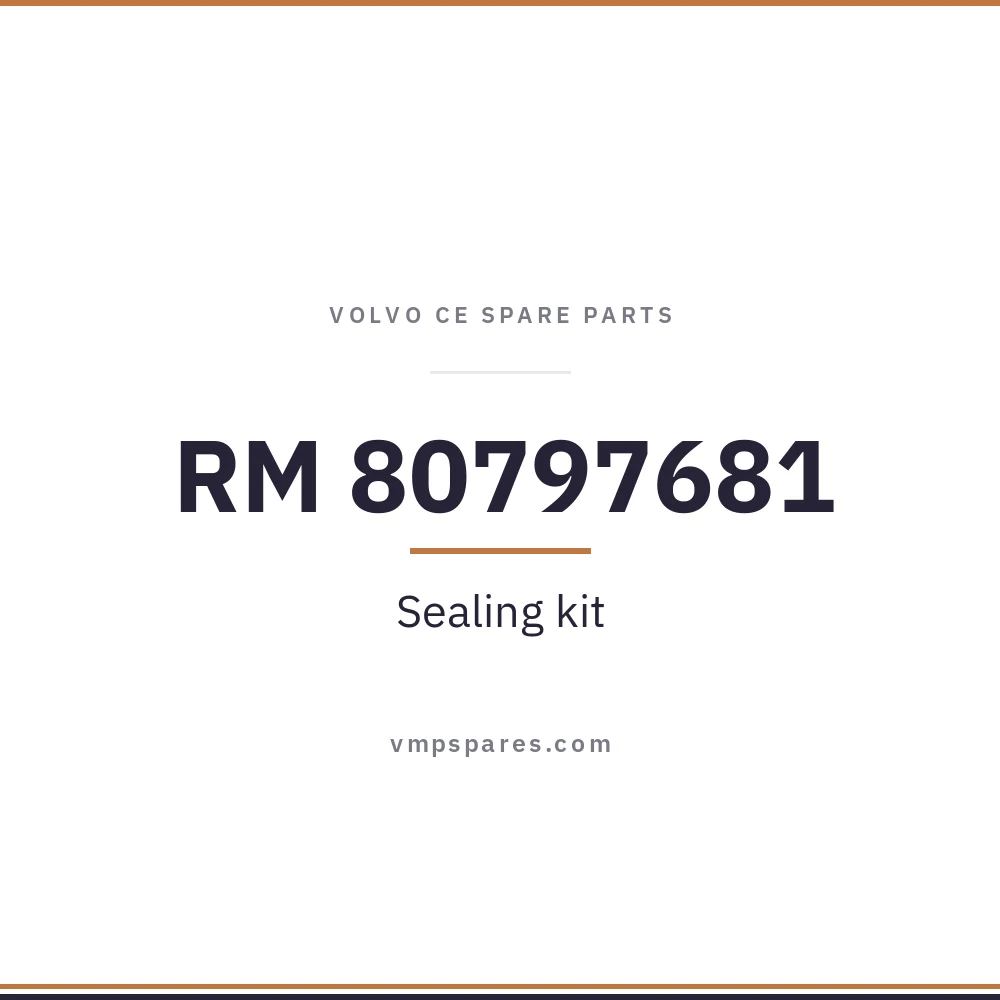 RM 80797681 – Sealing kit