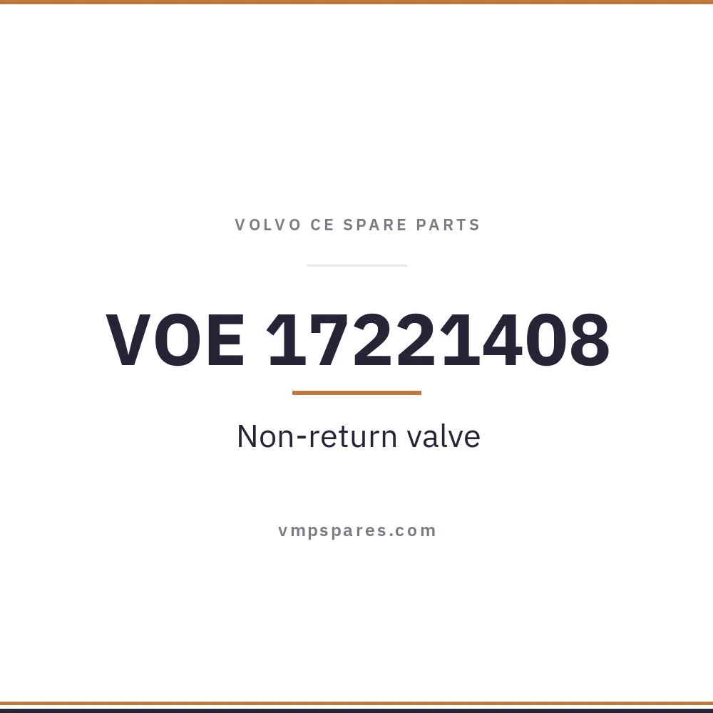 VOE 17221408 – Non-return valve