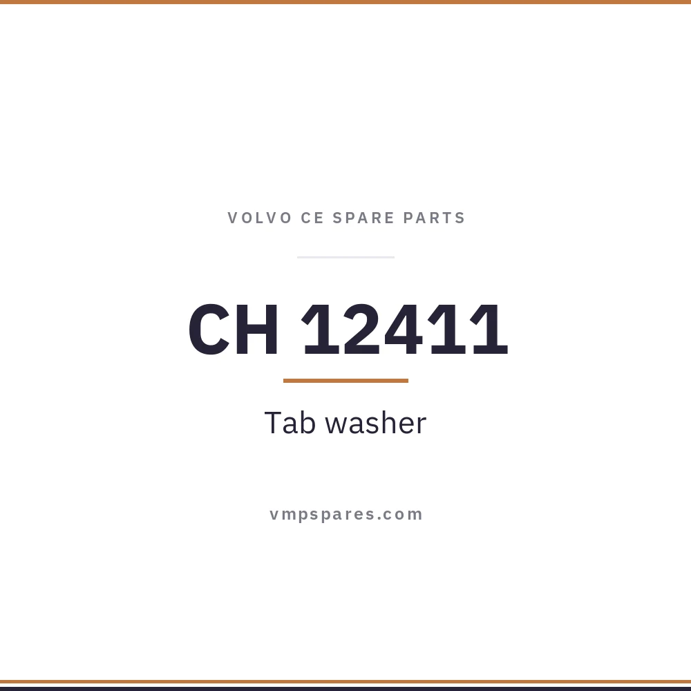 CH 12411 – Tab washer
