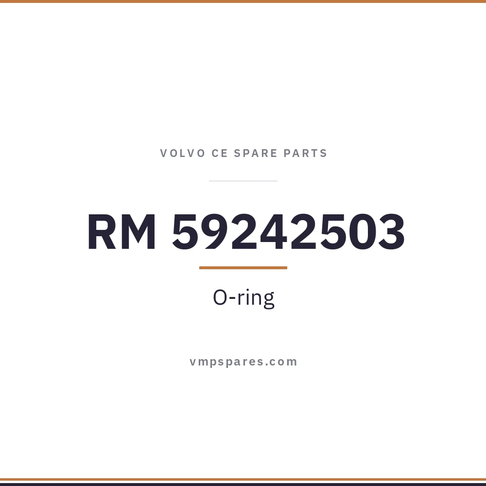 RM 59242503 – O-ring