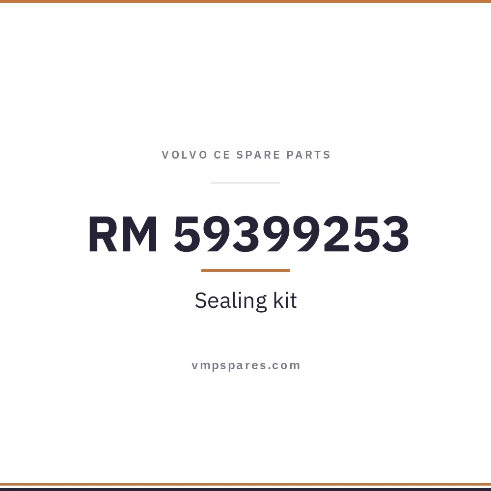 RM 59399253 – Sealing kit