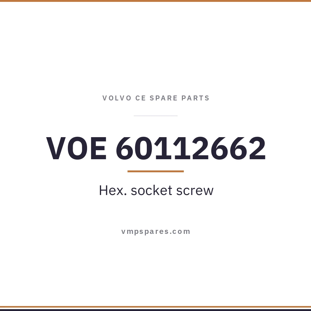 VOE 60112662 – Hex. socket screw