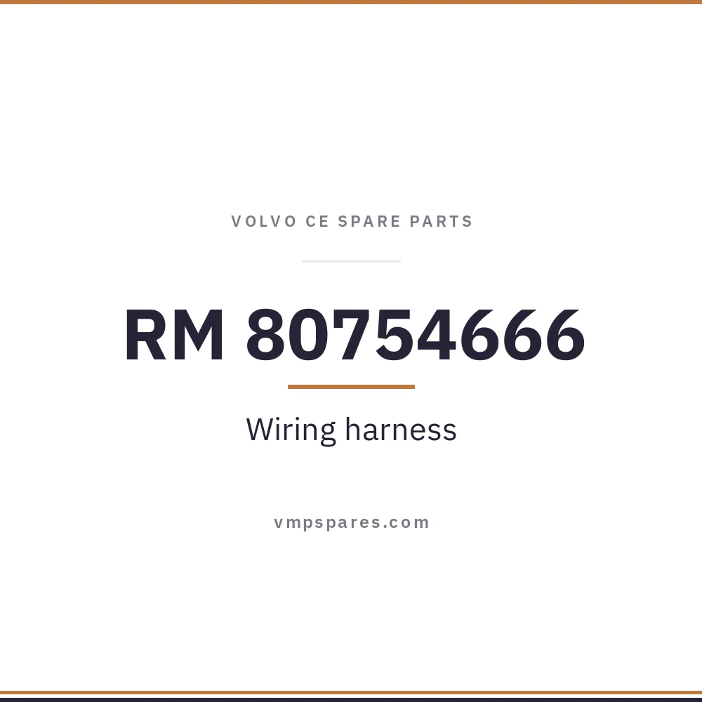 RM 80754666 – Wiring harness