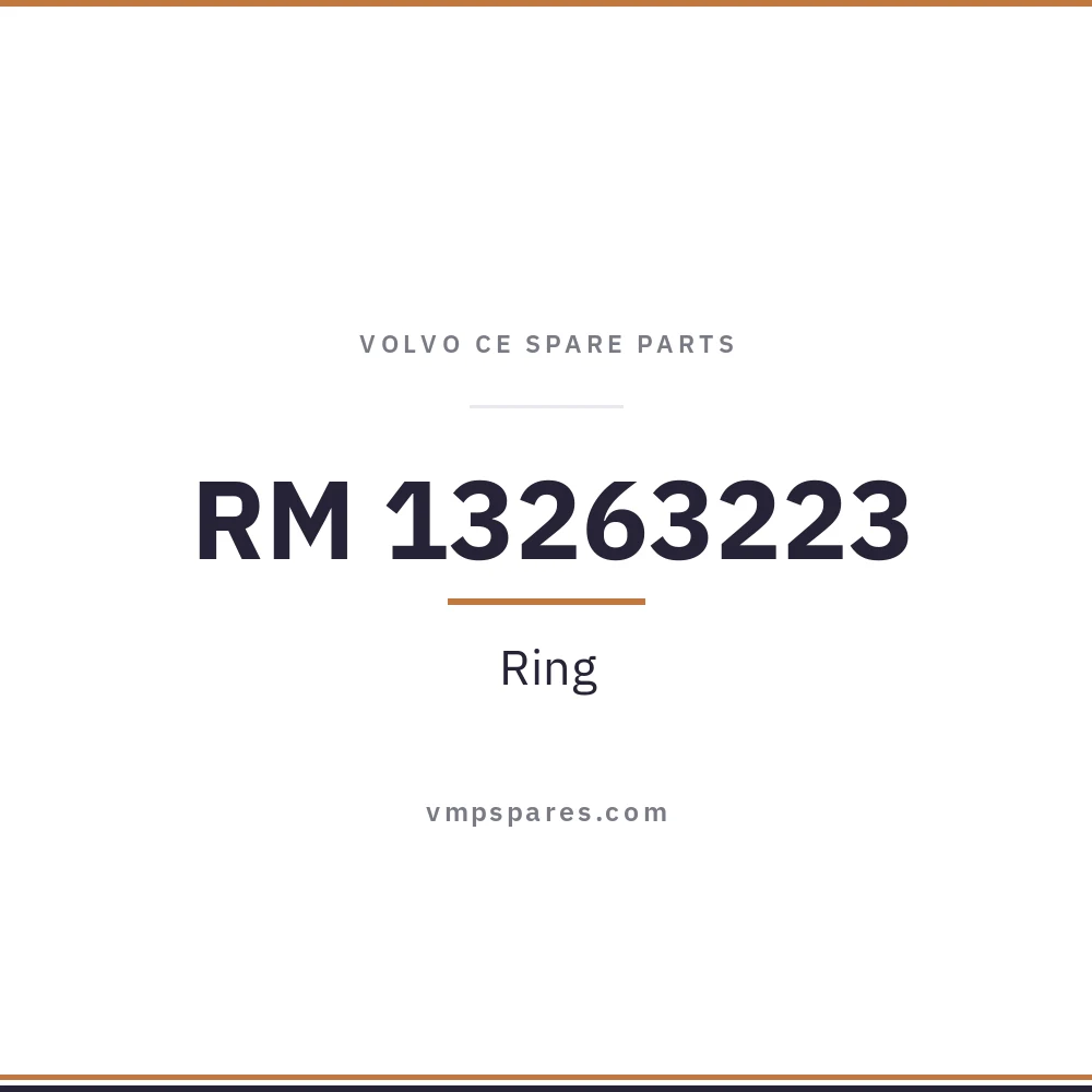 RM 13263223 – Ring