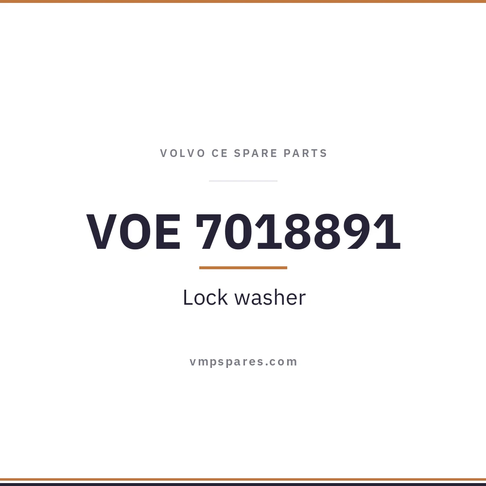 VOE 7018891 – Lock washer