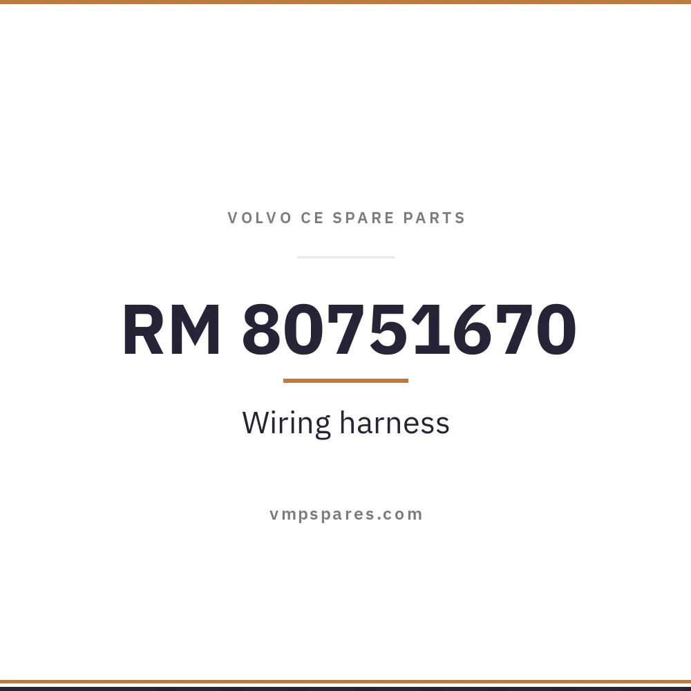 RM 80751670 – Wiring harness