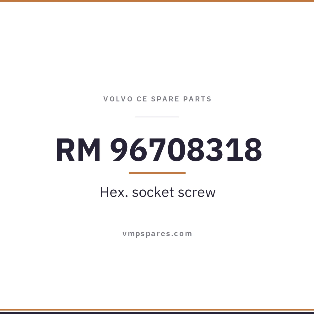 RM 96708318 – Hex. socket screw