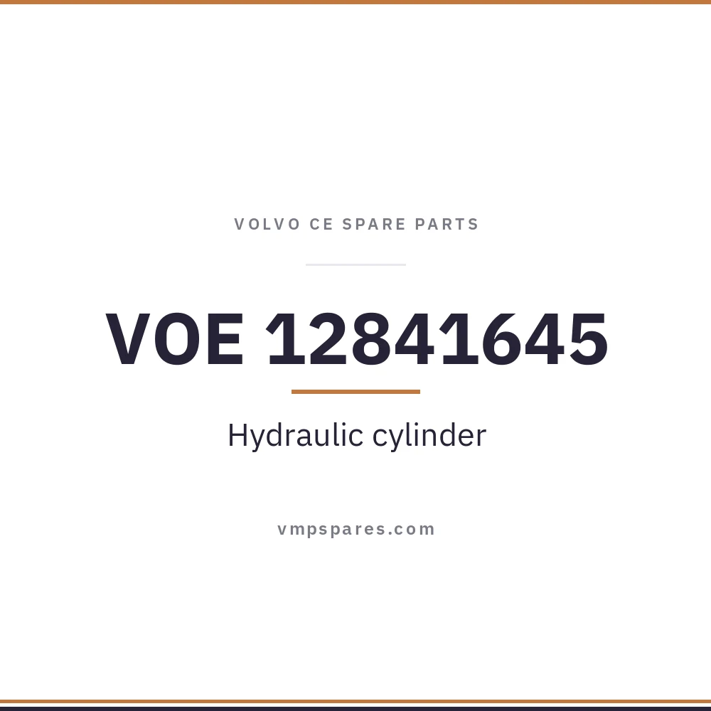 VOE 12841645 – Hydraulic cylinder