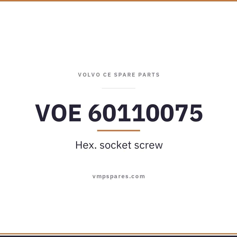VOE 60110075 – Hex. socket screw