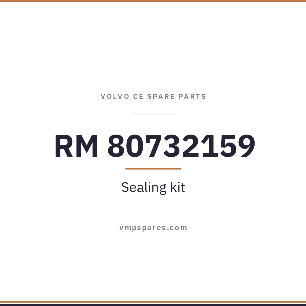 RM 80732159 – Sealing kit