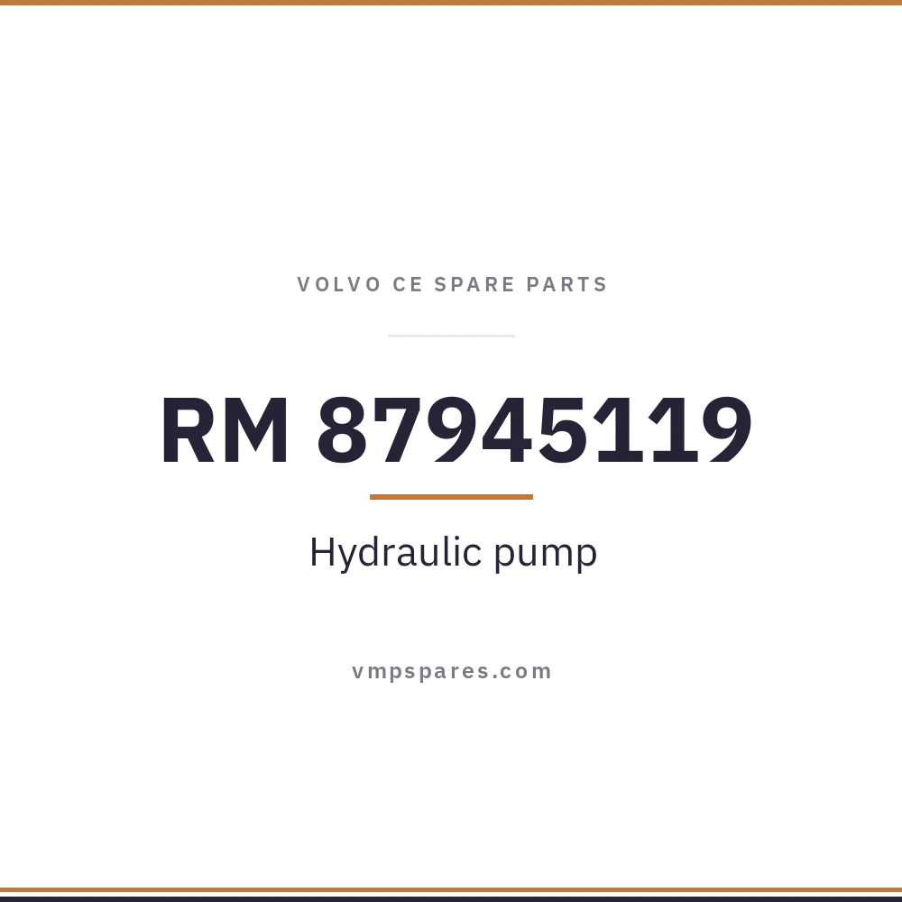 RM 87945119 – Hydraulic pump
