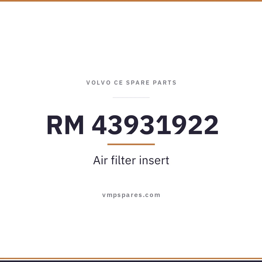 RM 43931922 – Air filter insert