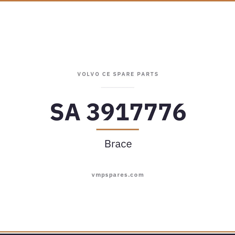 SA 3917776 – Brace