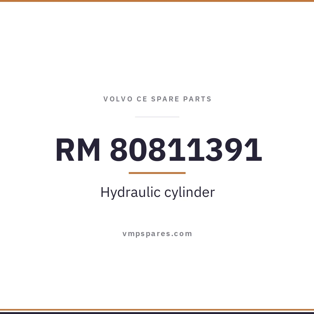 RM 80811391 – Hydraulic cylinder