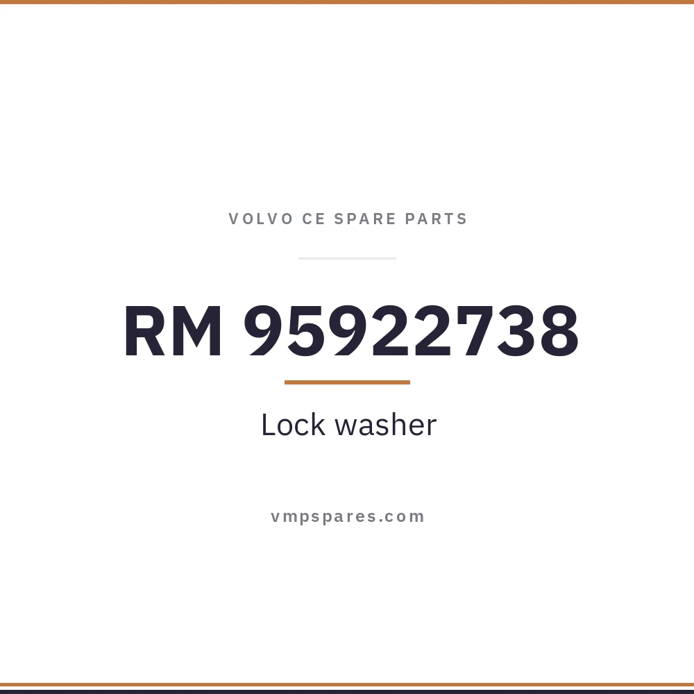 RM 95922738 – Lock washer