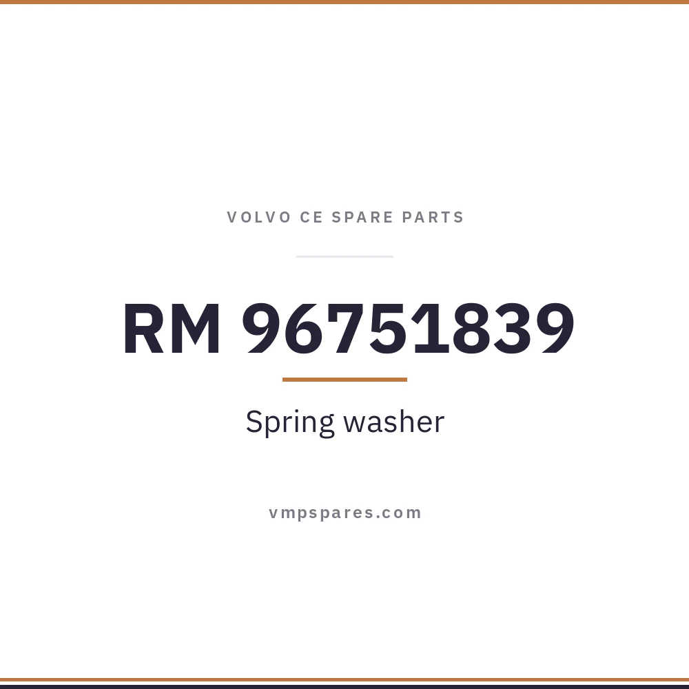 RM 96751839 – Spring washer
