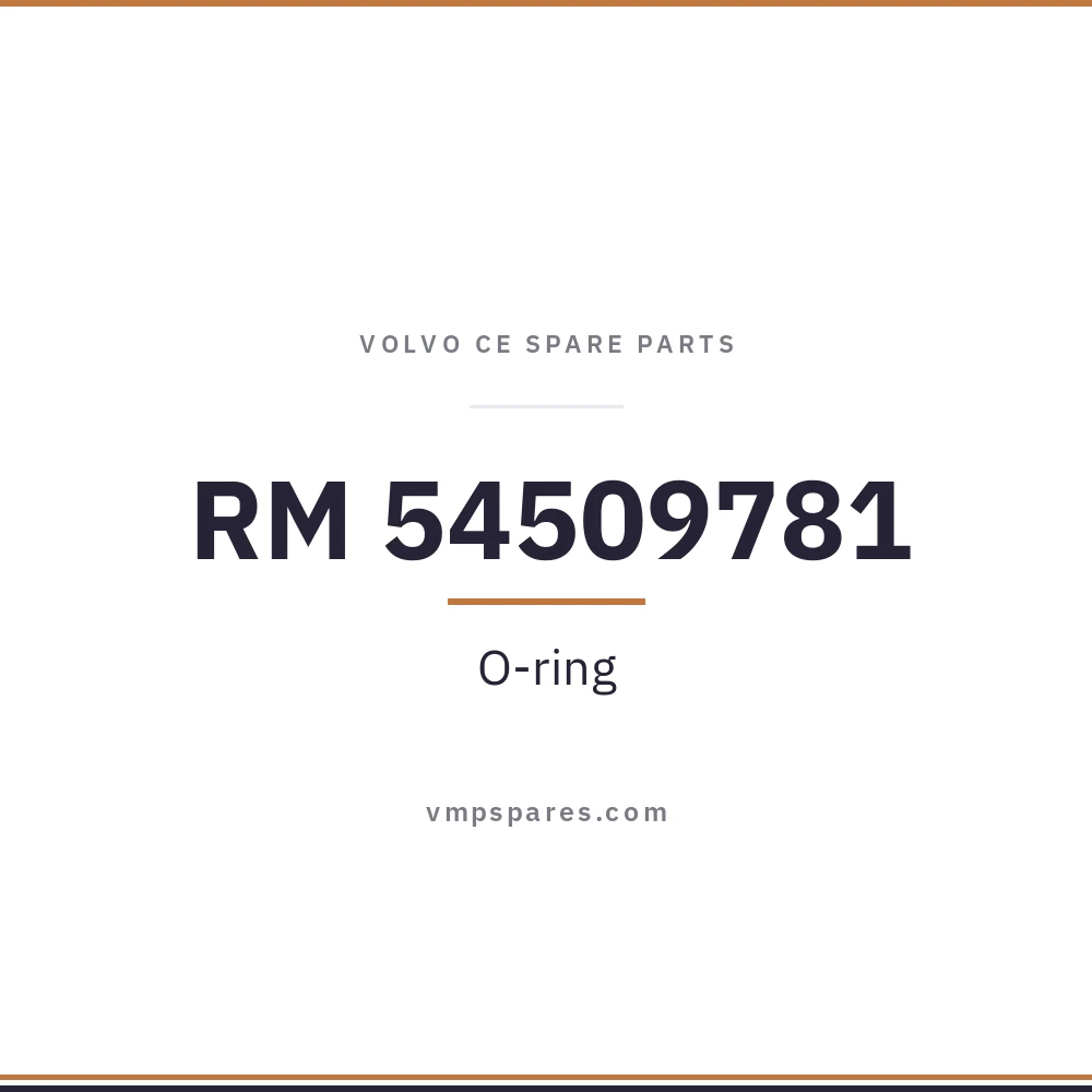 RM 54509781 – O-ring