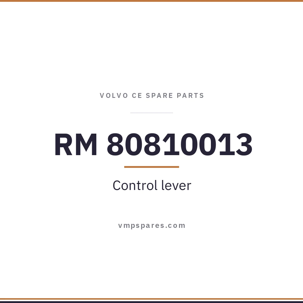 RM 80810013 – Control lever