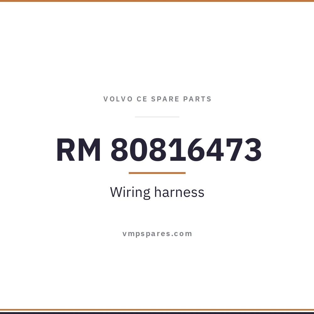 RM 80816473 – Wiring harness