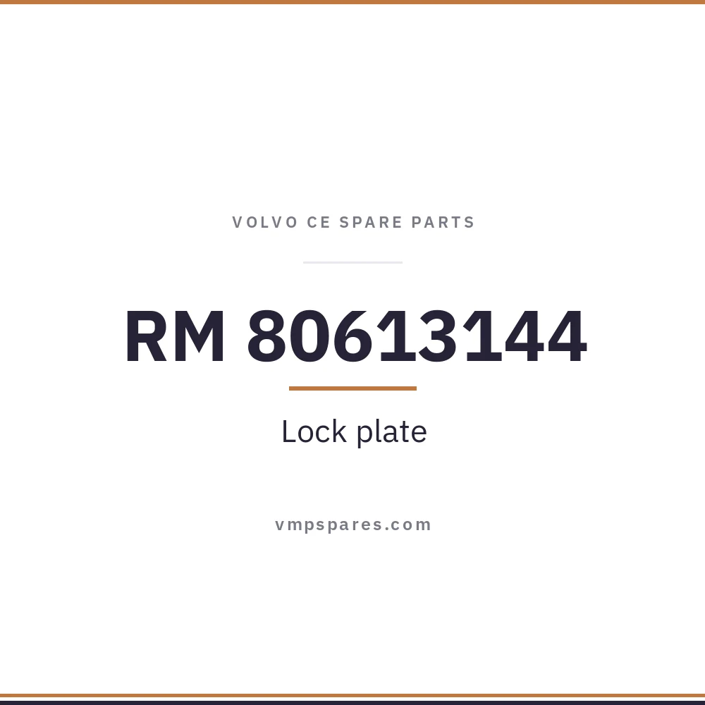 RM 80613144 – Lock plate