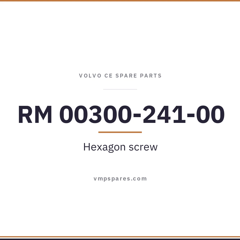 RM 00300-241-00 – Hexagon screw