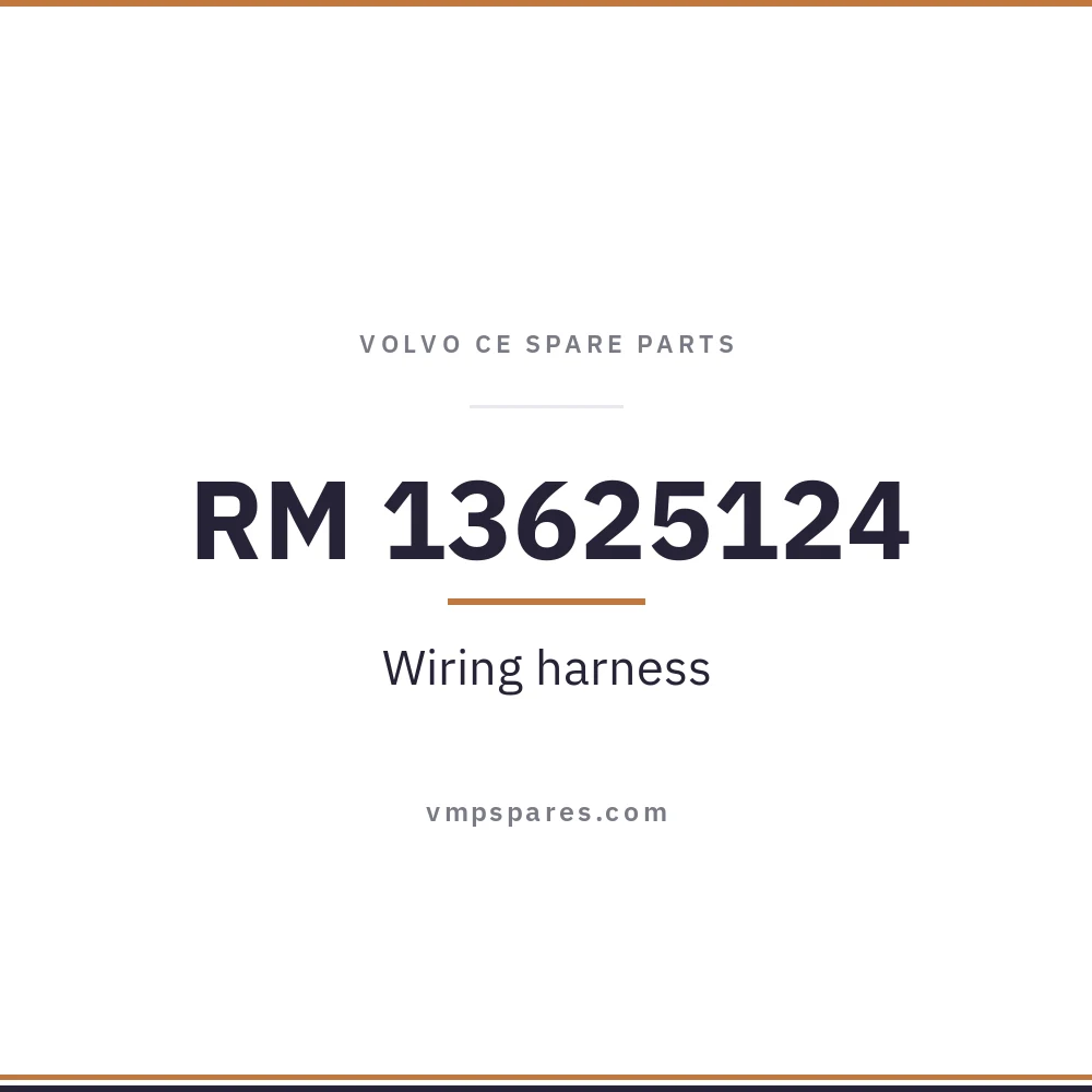 RM 13625124 – Wiring harness