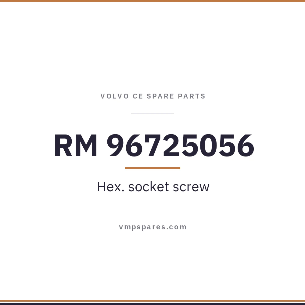 RM 96725056 – Hex. socket screw