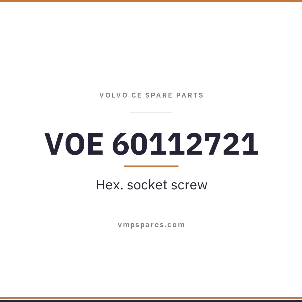 VOE 60112721 – Hex. socket screw